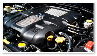 新建 Microsoft Word 文档913.png