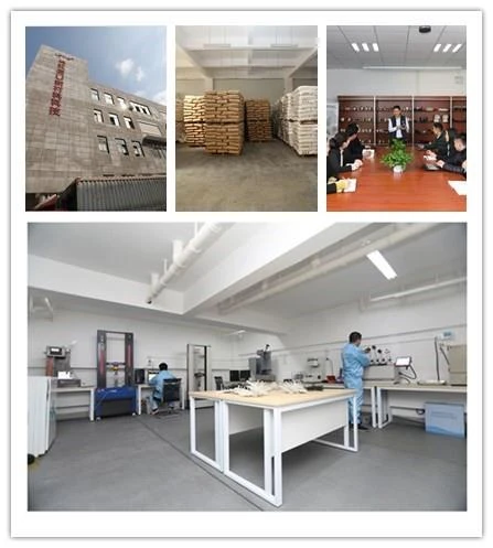 Long Glass Fiber Polyhenylene Polymer